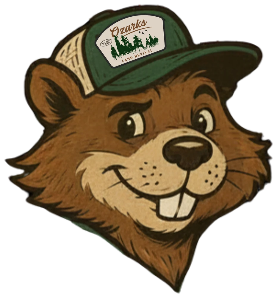Justin the beaver mascot wearing the Ozarks Land Revival cap